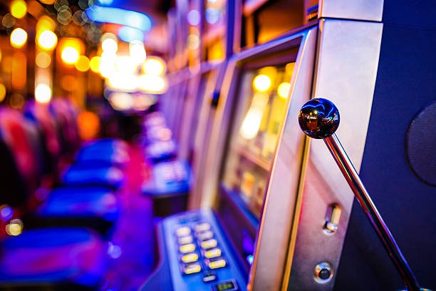 hwtoto live dealer studio showing multiple HD-streamed blackjack and roulette tables with professional dealers